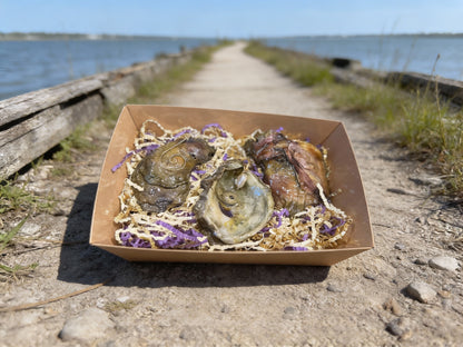 MARDI GRAS 'GUMBO' SHELL ORNAMENT SET OF (3)