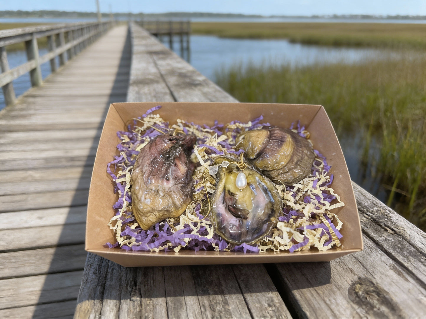 MARDI GRAS 'GUMBO' SHELL ORNAMENT SET OF (3)