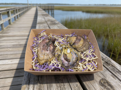 MARDI GRAS 'GUMBO' SHELL ORNAMENT SET OF (3)