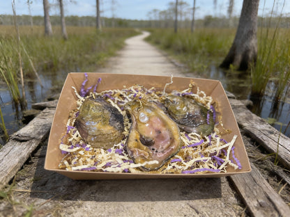 MARDI GRAS 'GUMBO' SHELL ORNAMENT SET OF (3)