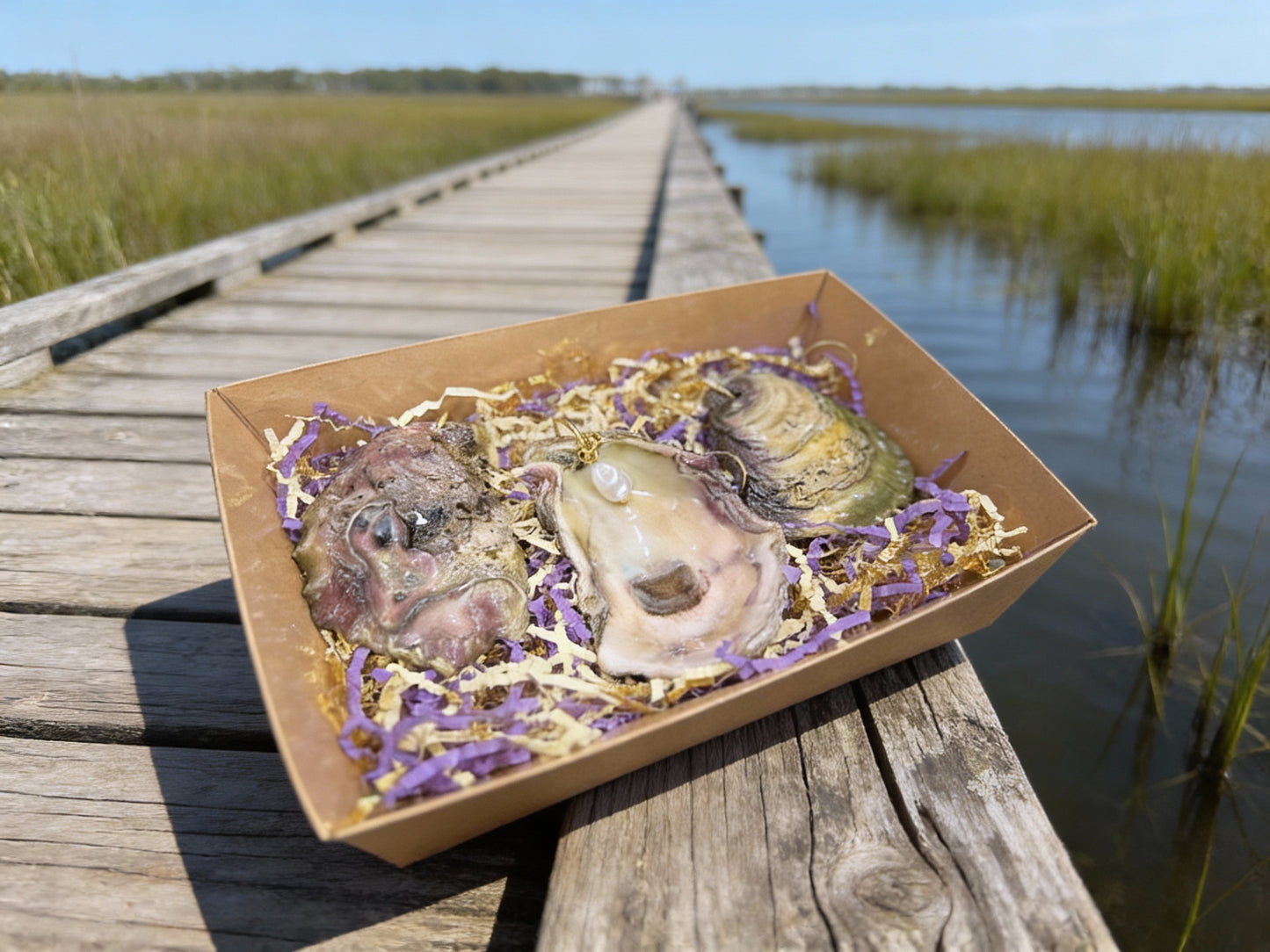 MARDI GRAS 'GUMBO' SHELL ORNAMENT SET OF (3)