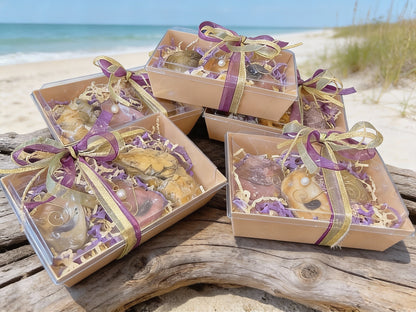 MARDI GRAS 'TRINITY' SHELL ORNAMENT SET OF (3)